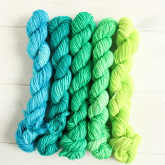 Nitro - lime turquoise DK weight mini skein gradient set
