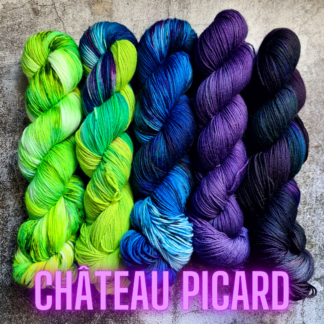 Chateau Picard hand dyed yarn fade pack