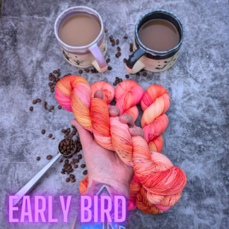 Early Bird hand dyed yarn