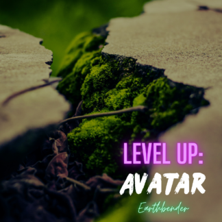 Earthbender Avatar Level Up hand dyed yarn mystery box