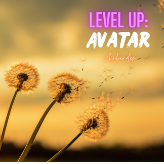 Airbender Avatar Level Up hand dyed yarn mystery box